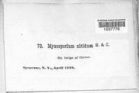 Image Associated With the Occurence